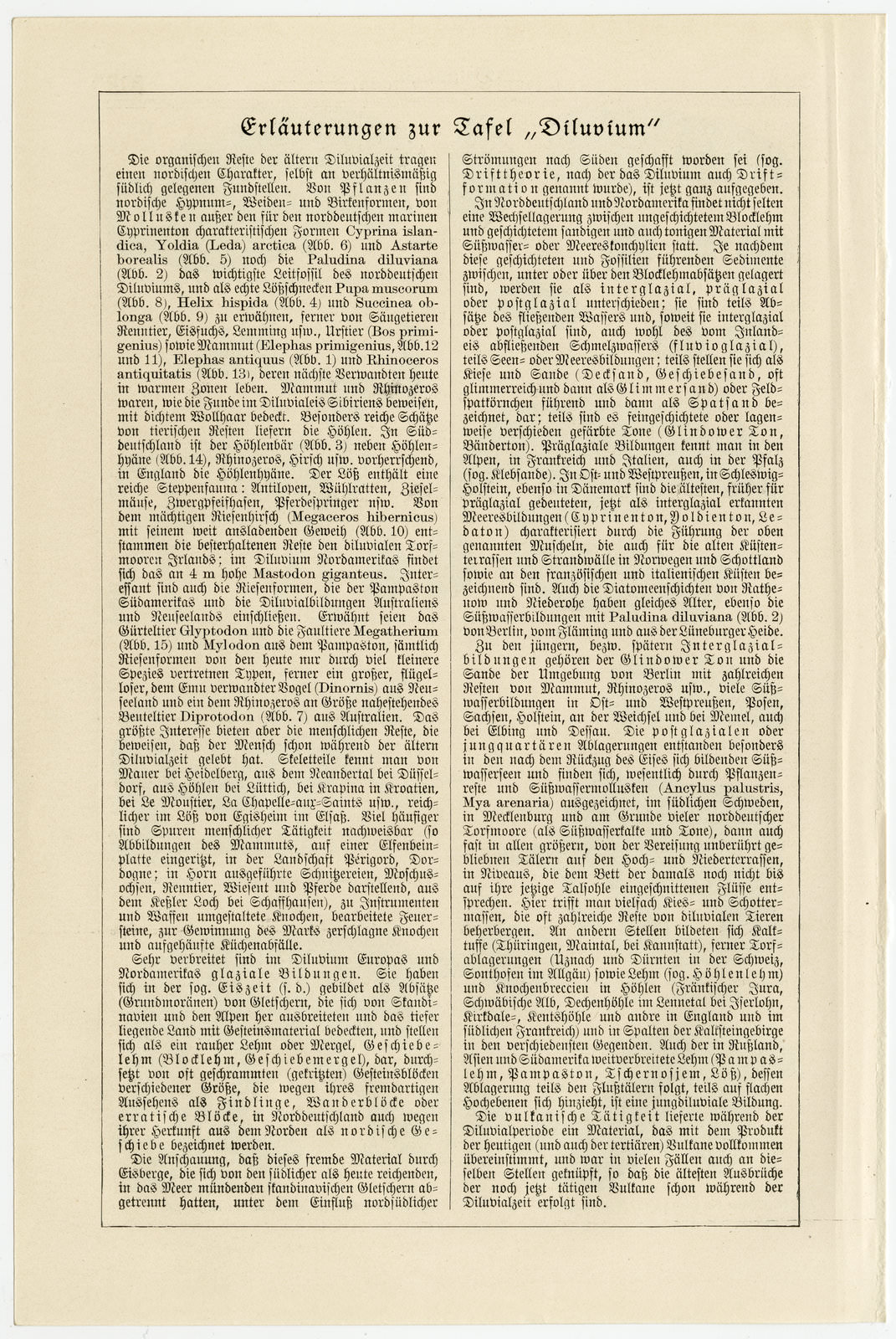 Diluvium ca 1925 historische Bildtafel Holzstich