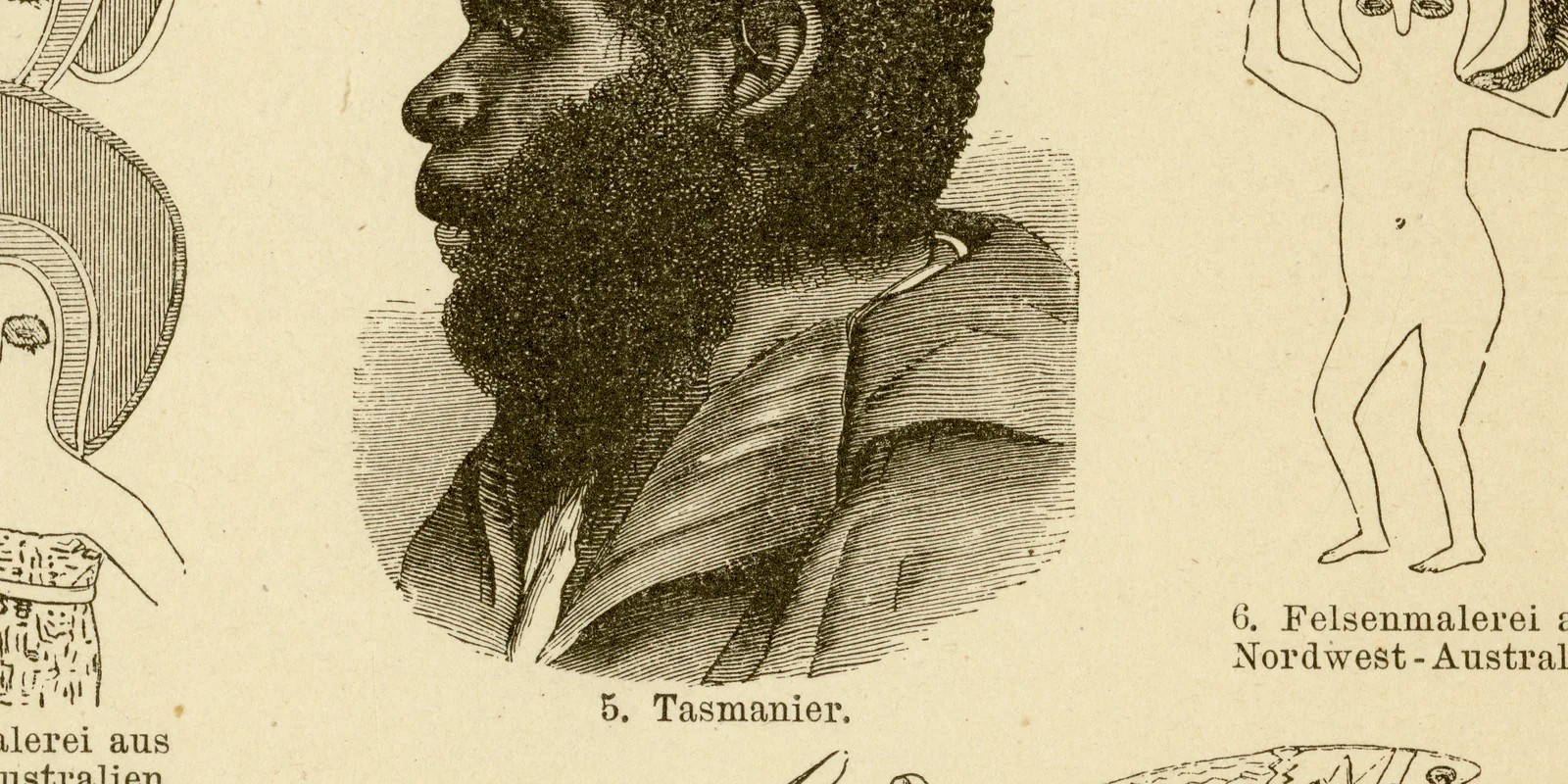 Australische Rasse und Kultur ca 1882 historische Grafik Holzstich