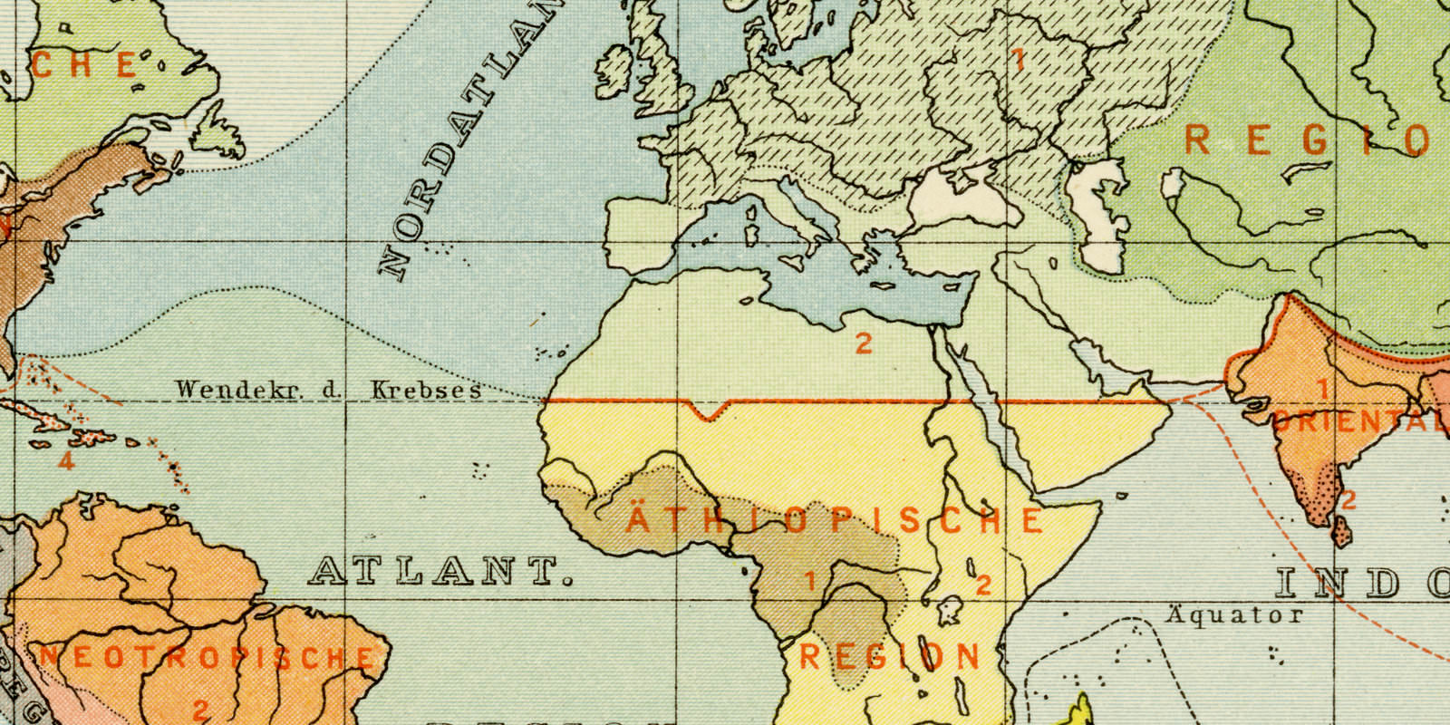 Tiergeographische Regionen nach Wallace ca 1897 historische Karte Lithographie