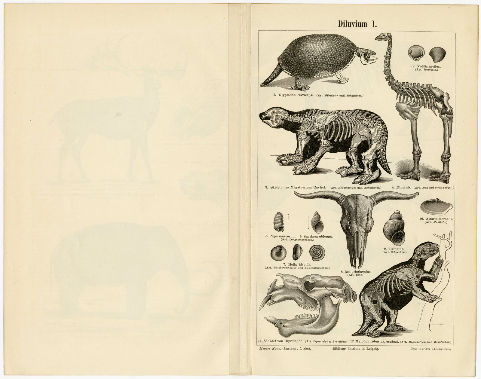 Diluvium I - II ca 1893 historische Bildtafel Holzstich