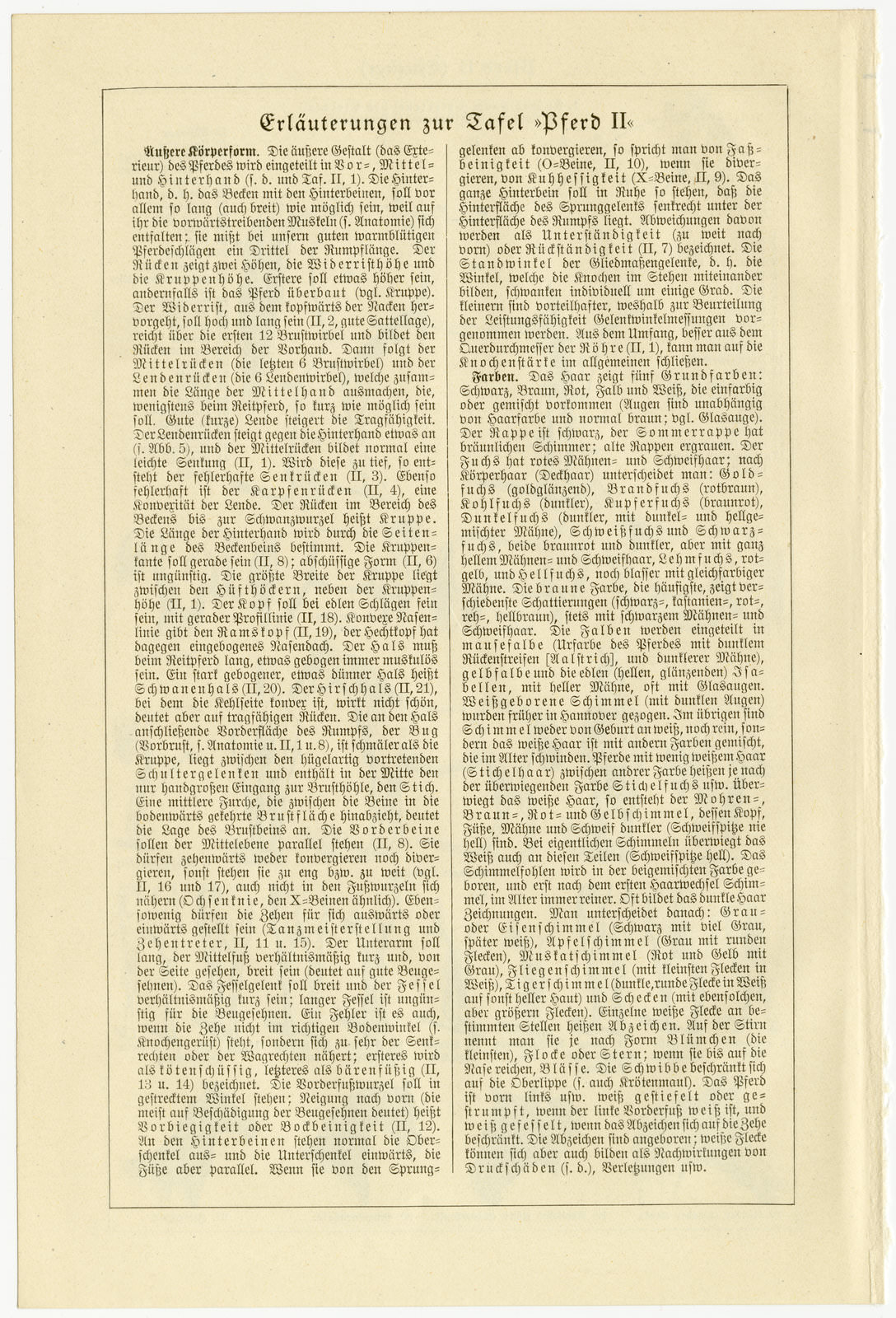 Pferd II ca 1928 historische Bildtafel Holzstich