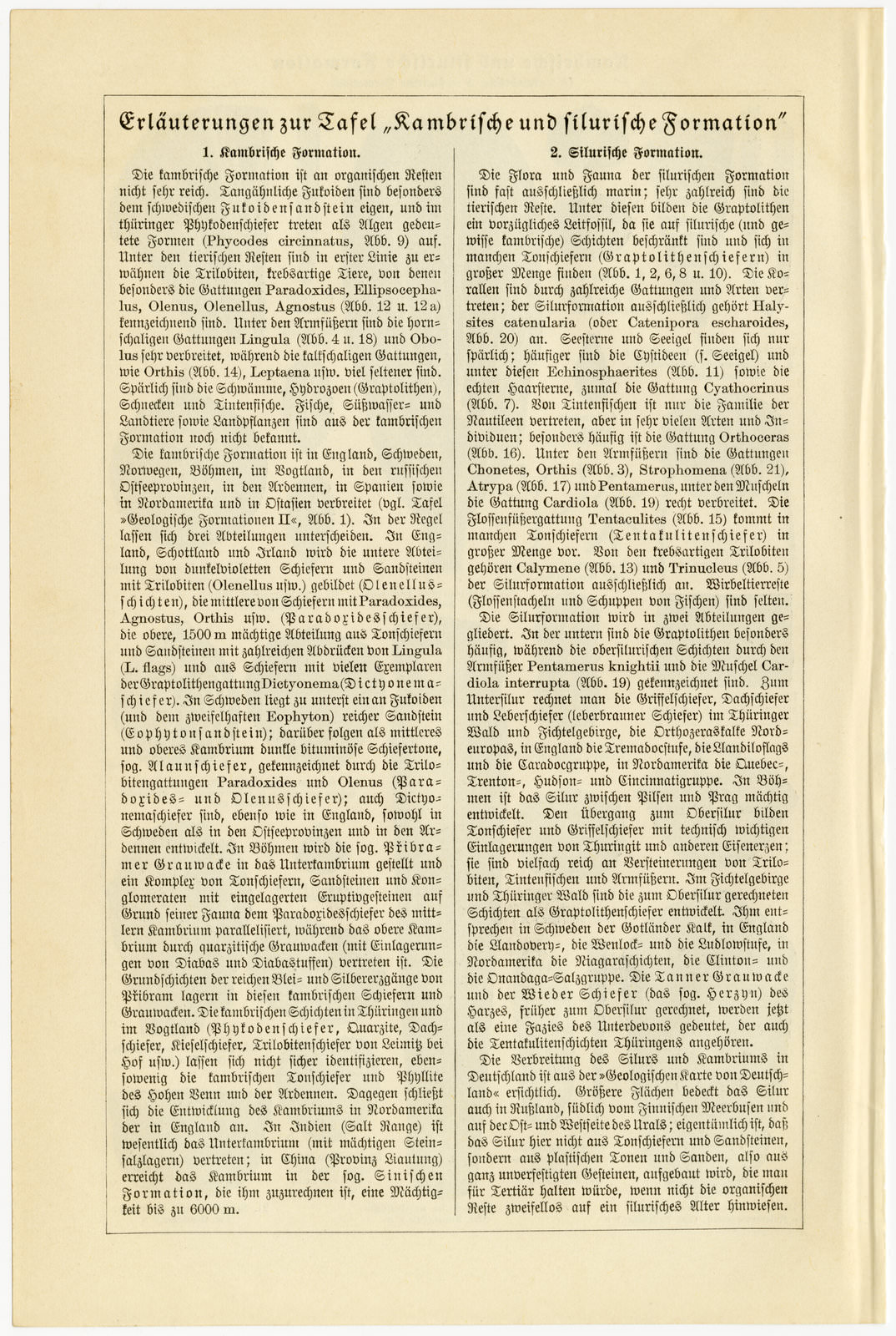 Kambrische und Silurische Formation ca 1927 historische Bildtafel Holzstich