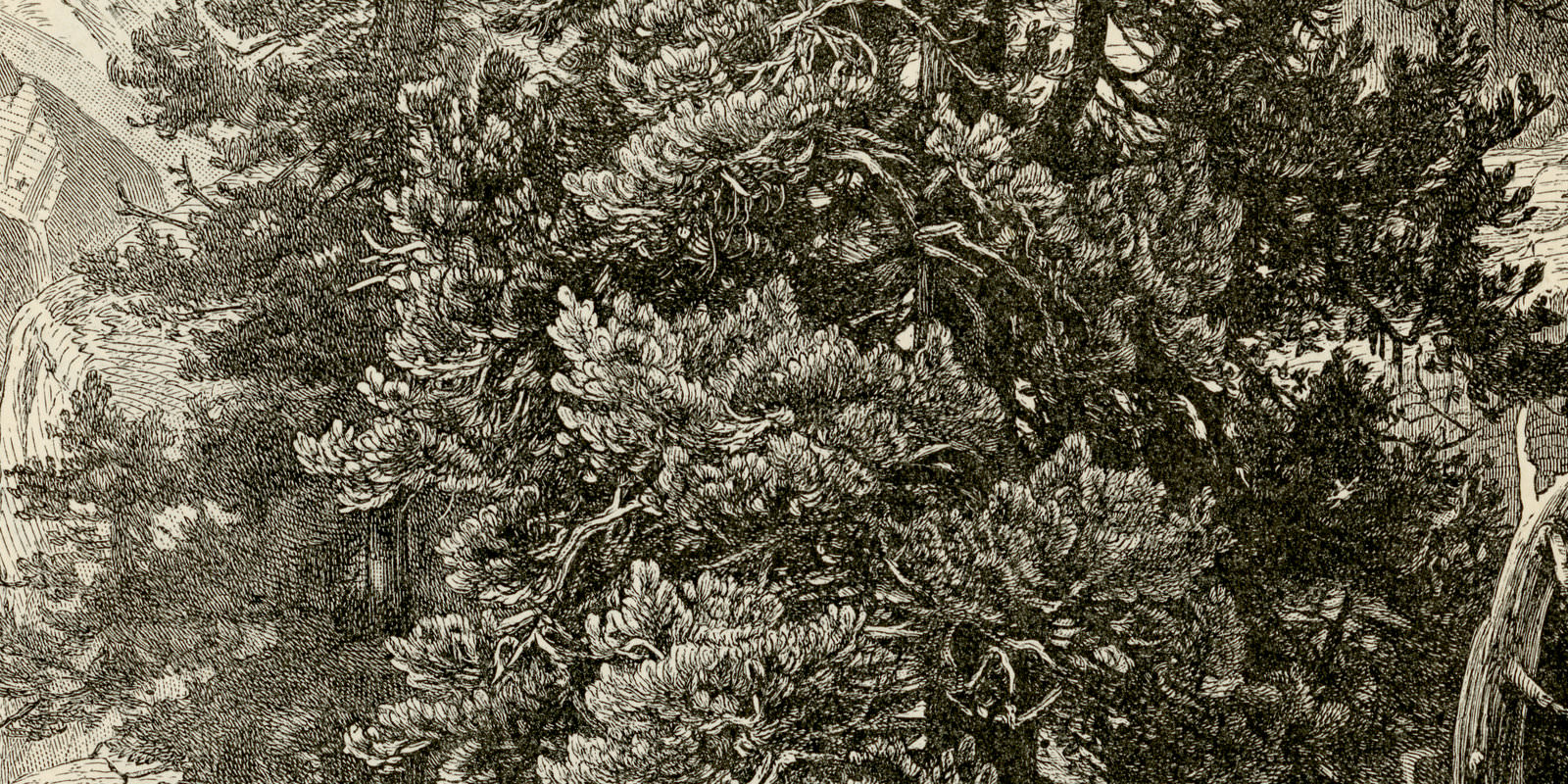 Arve I - II ca 1893 historische Bildtafel Holzstich