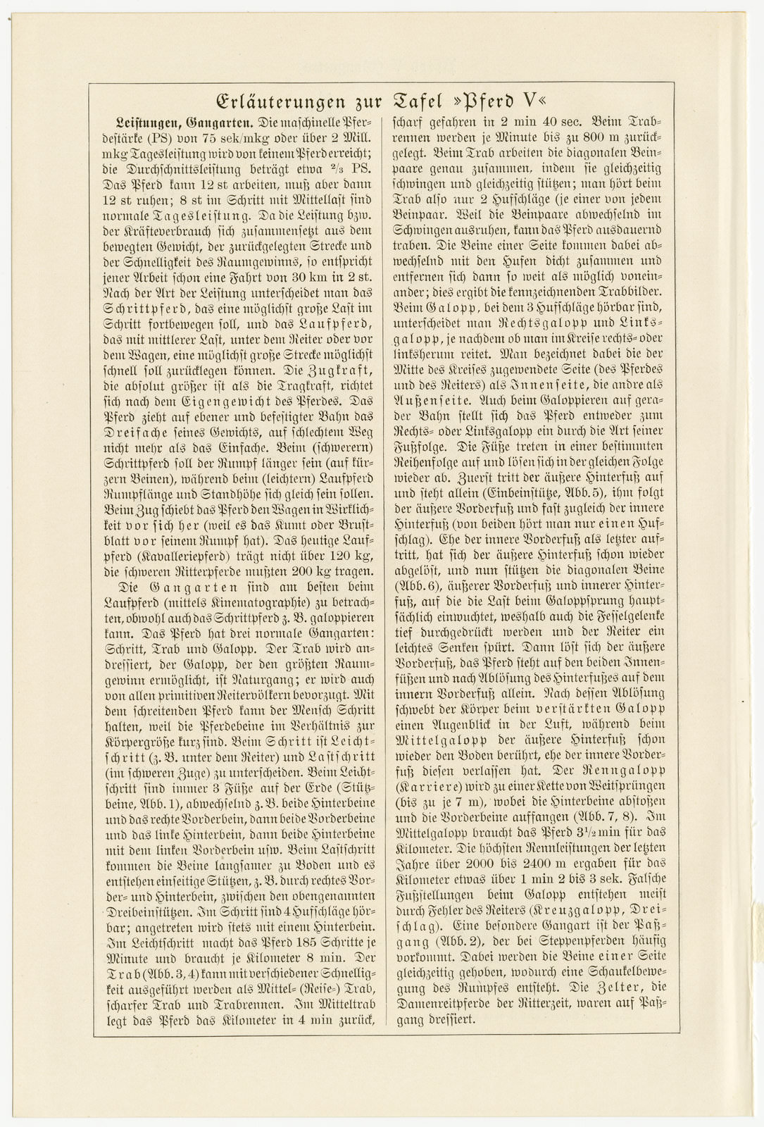 Pferrd V ca 1928 historische Bildtafel Holzstich