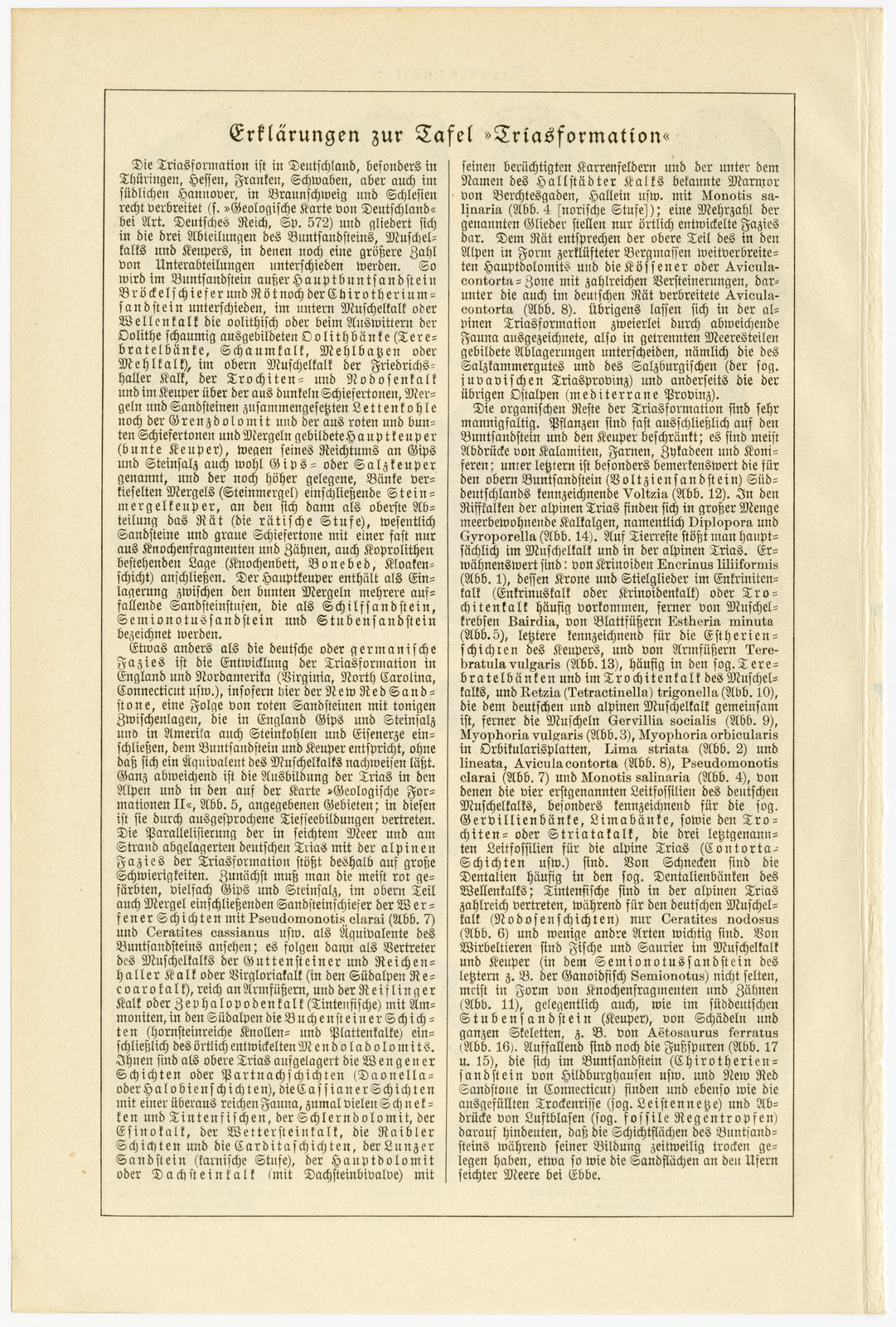Triasformation ca 1930 historische Bildtafel Holzstich