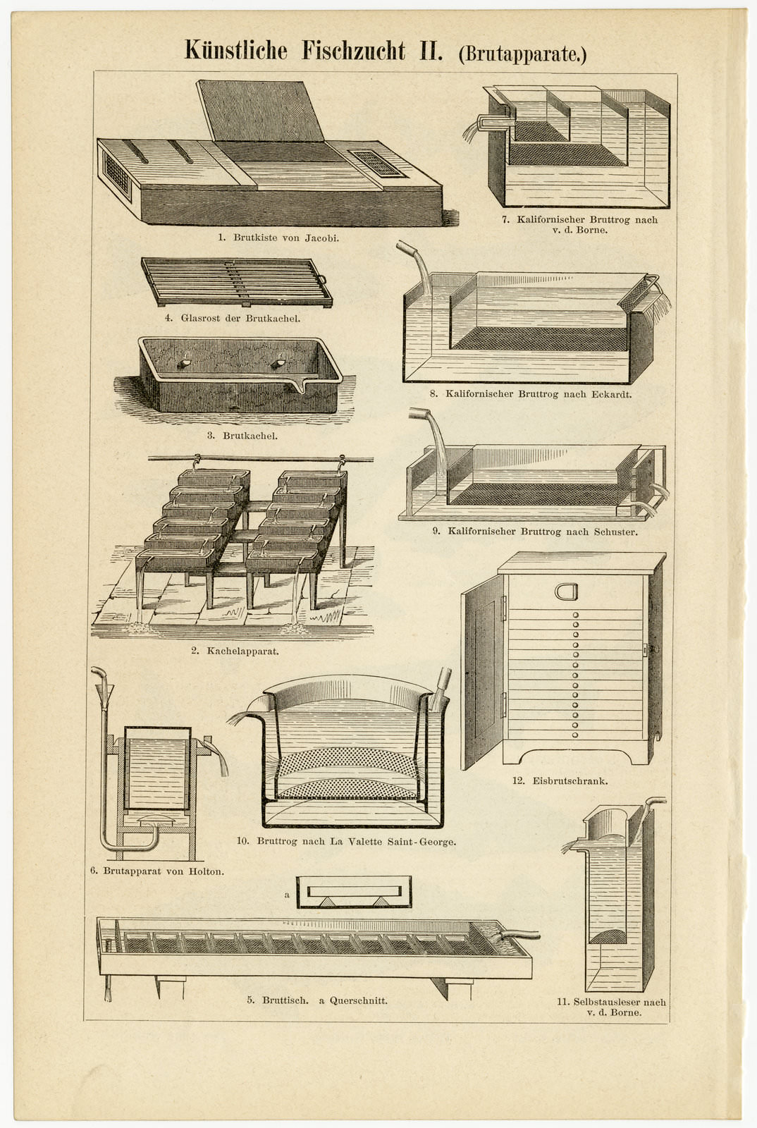 Künstliche Fischzucht I - II ca 1894 historische Bildtafel Holzstich