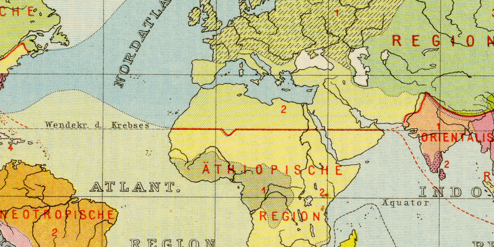 Tiergeographische Regionen ca 1929 historische Karte Lithographie