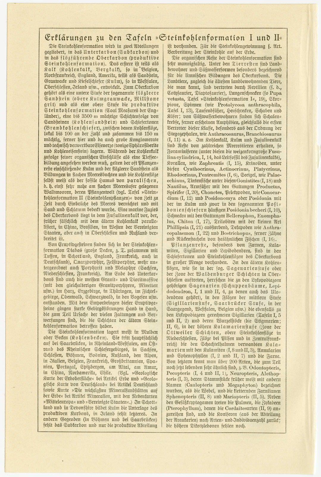 Steinkohleformation I ca 1929 historische Bildtafel Holzstich