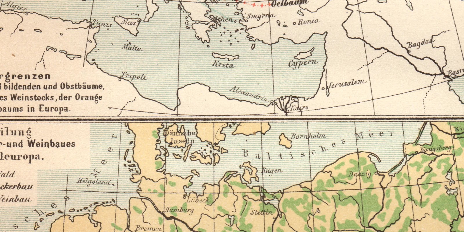 Verbreitung der wichtigsten Kulturgewächse II Europa ca 1887 historische Karte Lithographie