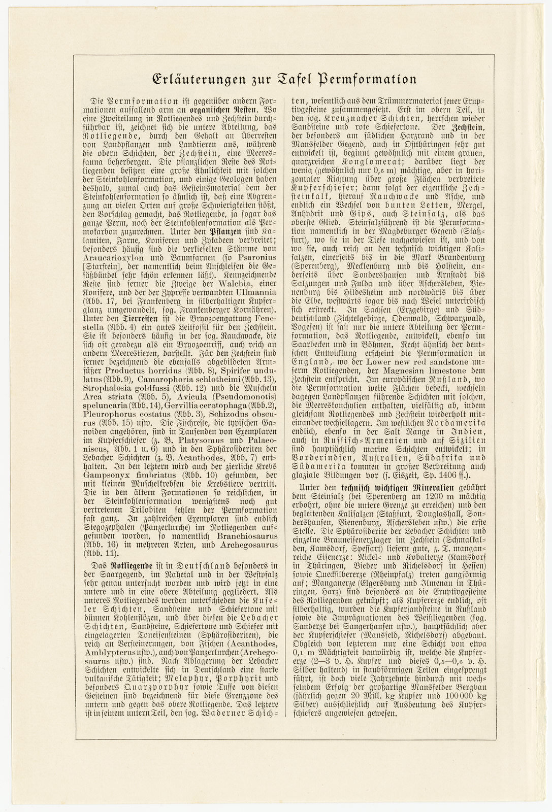 Permformation ca 1928 historische Bildtafel Holzstich