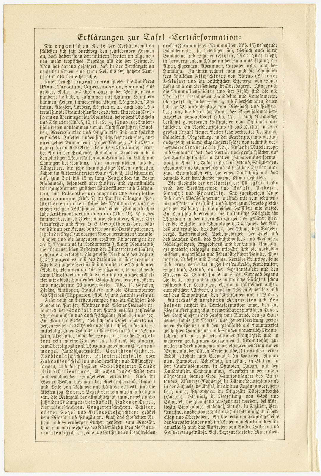 Tertiärformation ca 1929 historische Bildtafel Autotypie