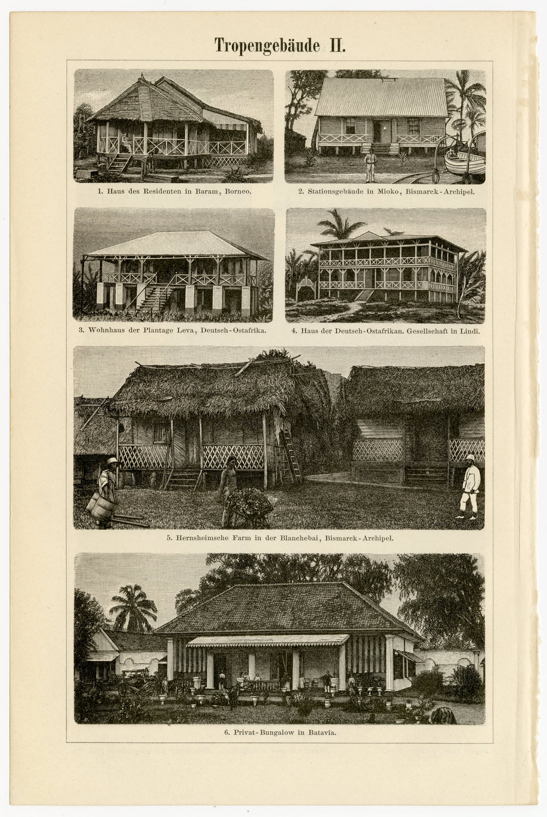 Tropen Gebäude I - II ca 1898 historische Bildtafel Holzstich