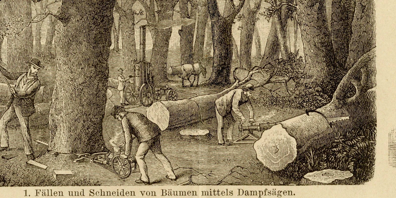 Holzbearbeitungsmaschinen ca 1884 historische Grafik Holzstich
