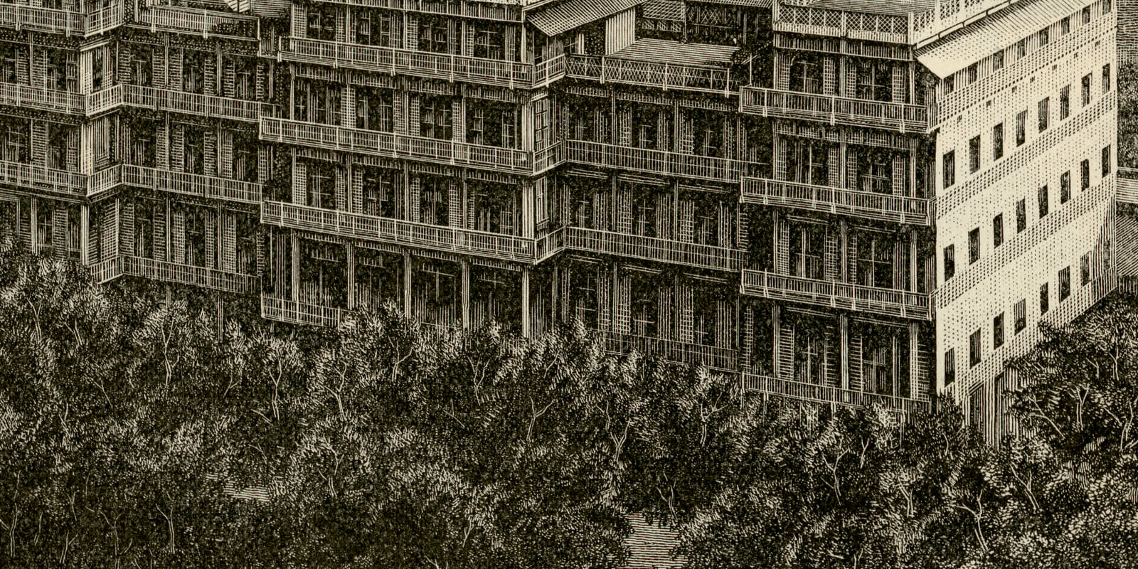 Tropen Gebäude I - II ca 1898 historische Bildtafel Holzstich
