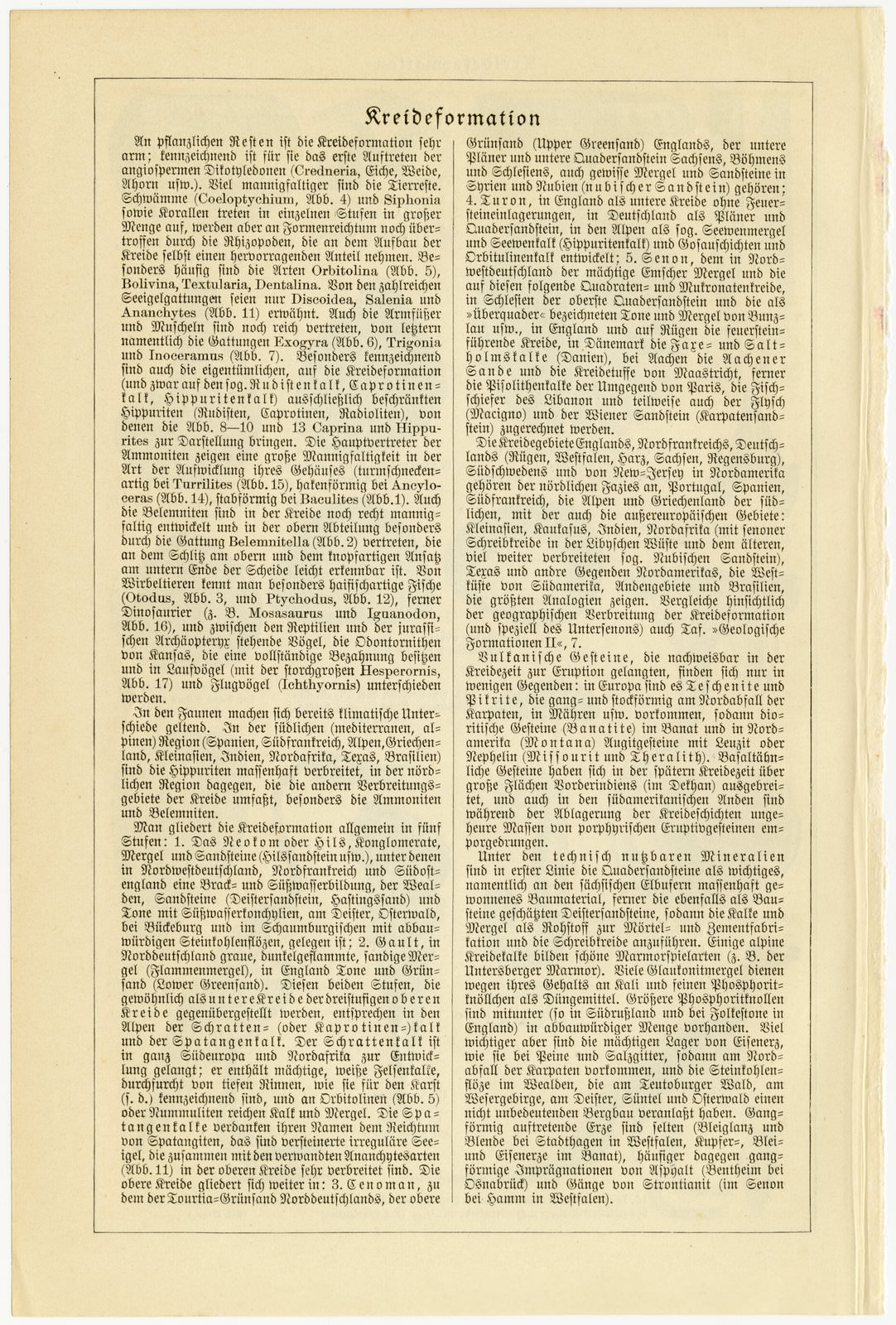 Kreideformation ca 1927 historische Bildtafel Holzstich