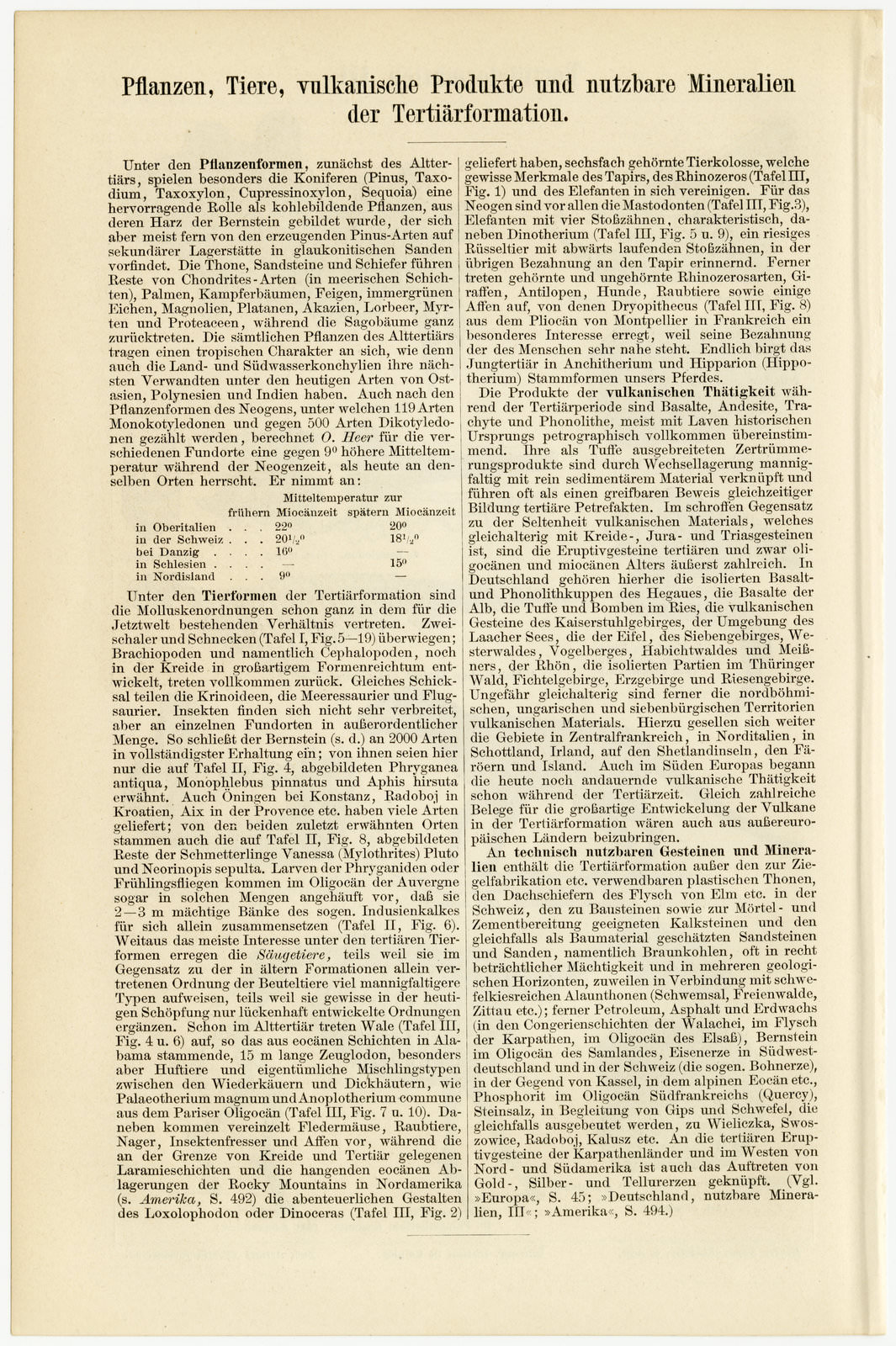 Tertiärformationen III ca 1897 historische Bildtafel Holzstich