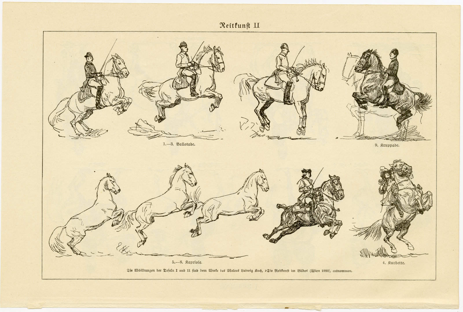 Reitkunst I - II ca 1929 historische Bildtafel Holzstich