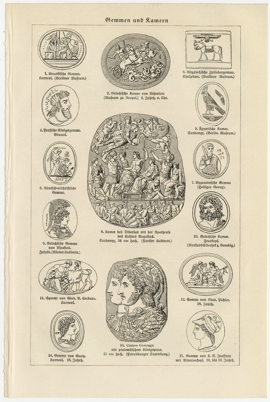 Gemüsepflanzen I ca 1926 historische Bildtafel Holzstich