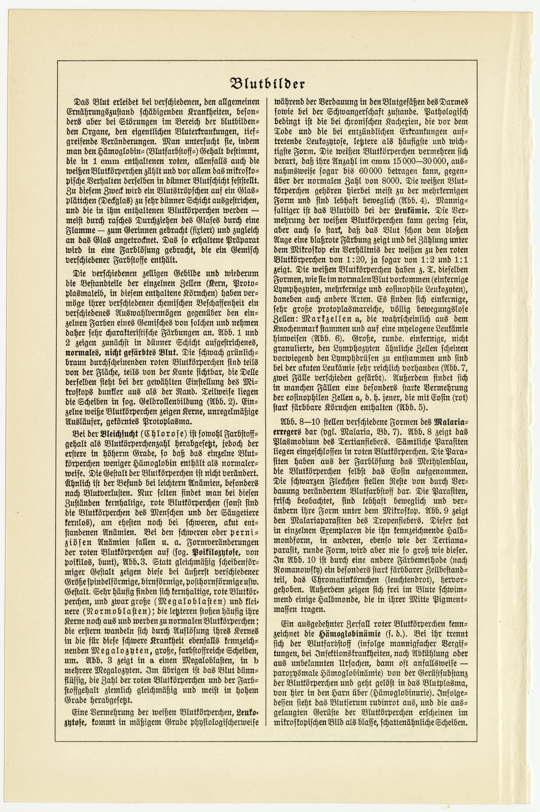 Blutbilder ca 1931 historische Bildtafel Chromotypie
