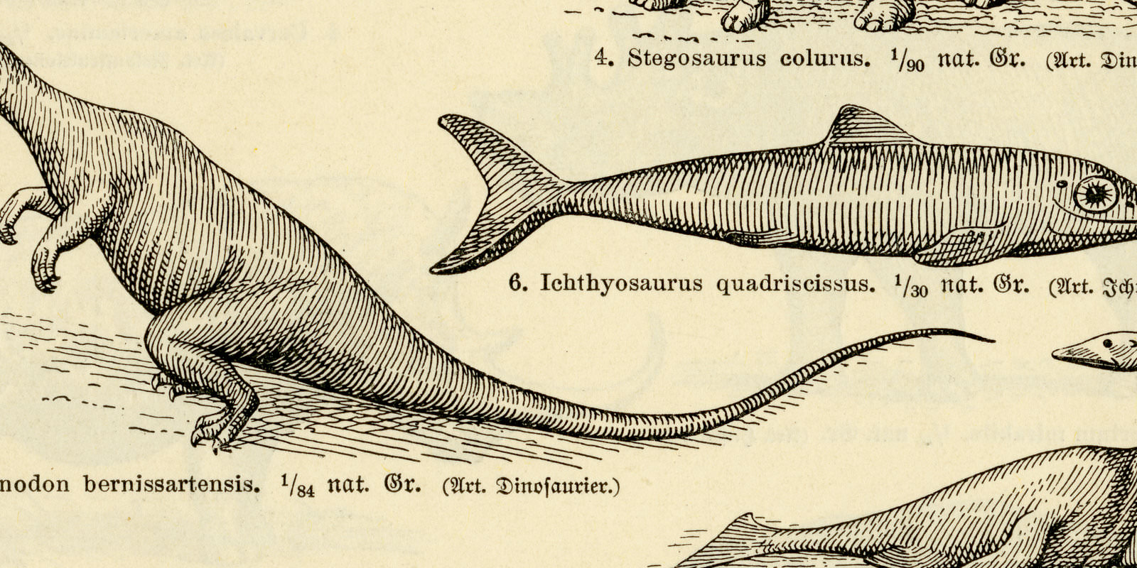 Rekonstruktionen fossiler Tiere I - II ca 1929 historische Bildtafel Holzstich