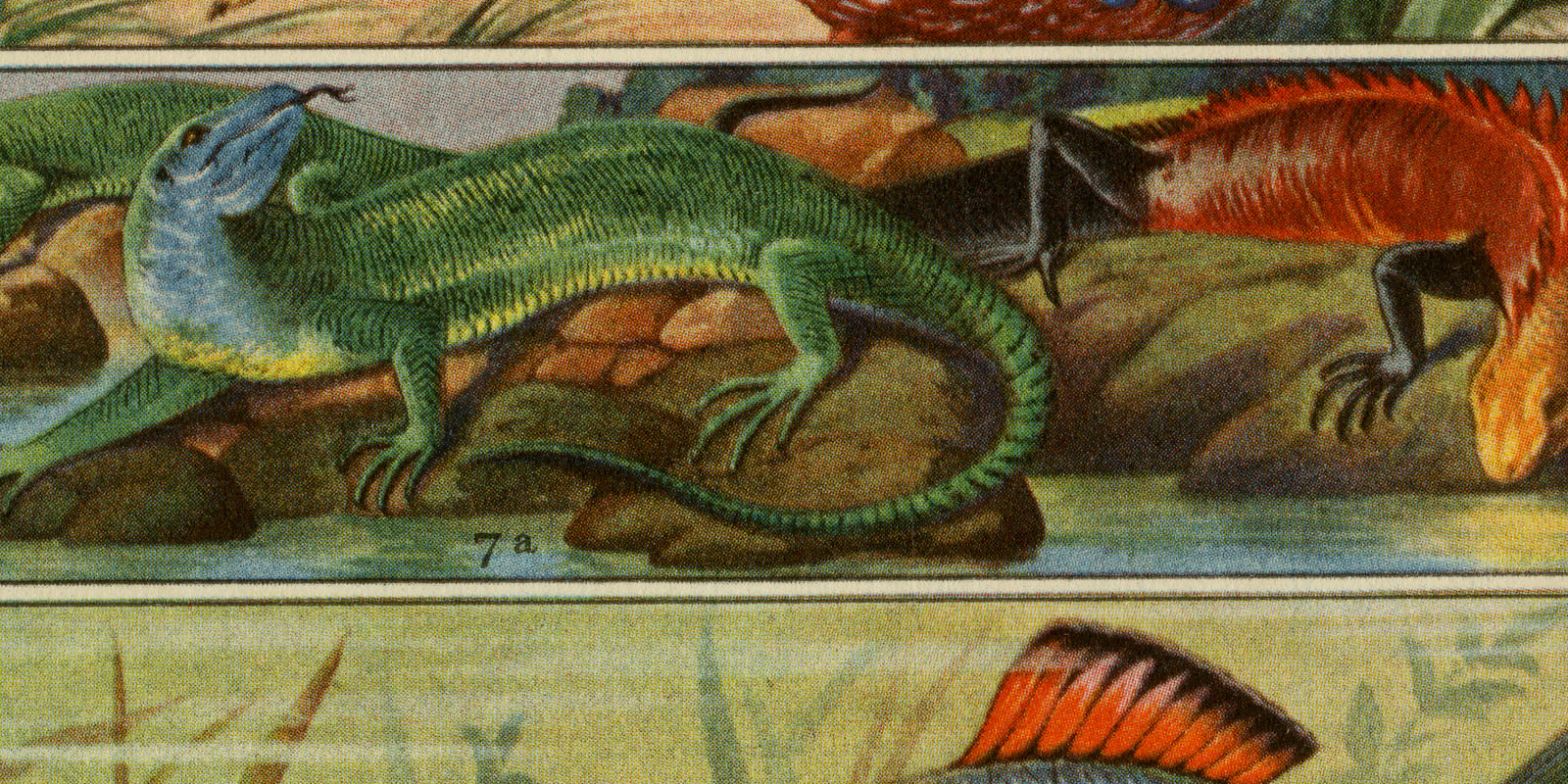 Hochzeitskleider ca 1926 historische Bildtafel Chromotypie