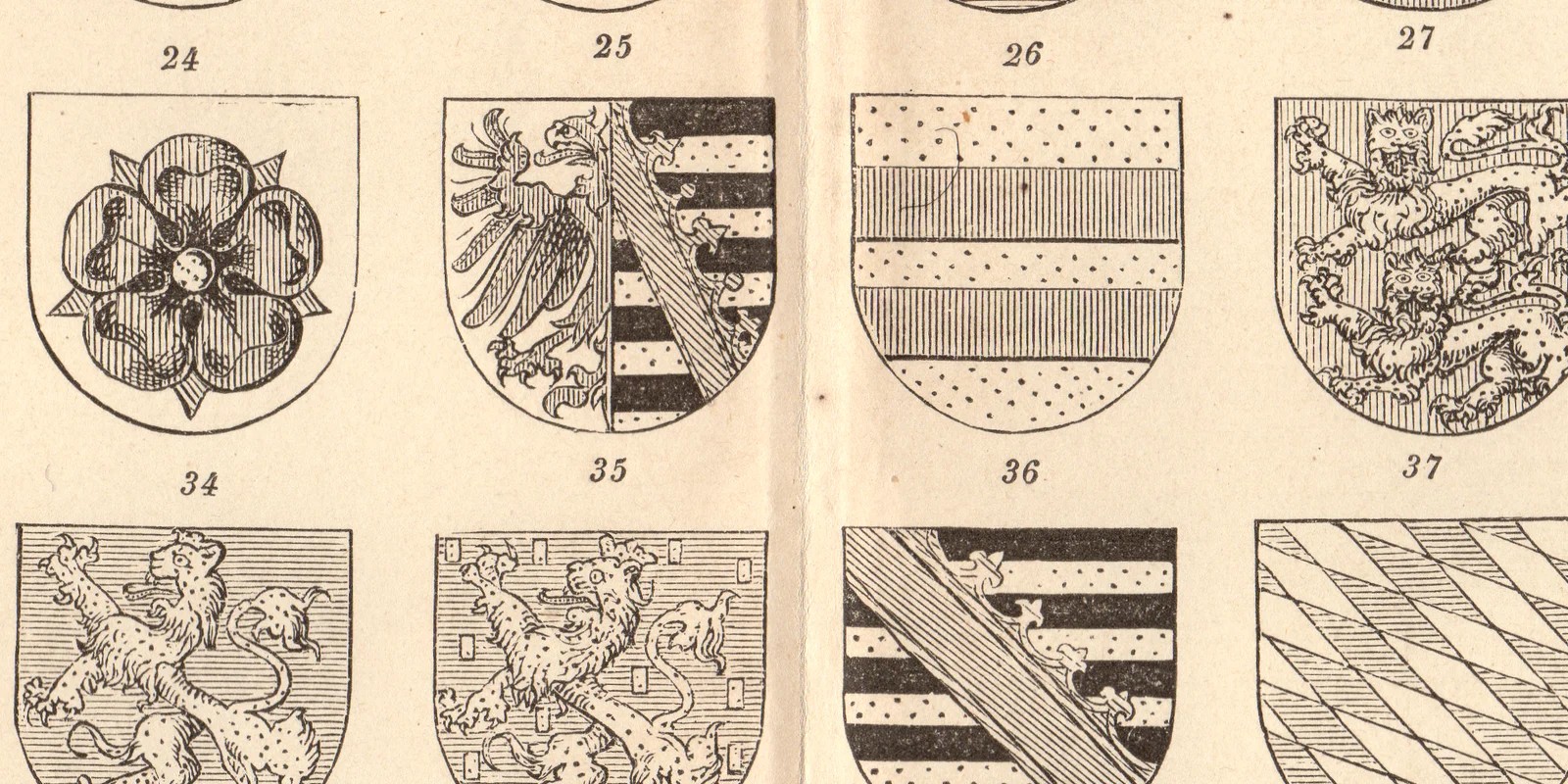 Heraldische Typen ca 1887 historische Grafik Holzstich