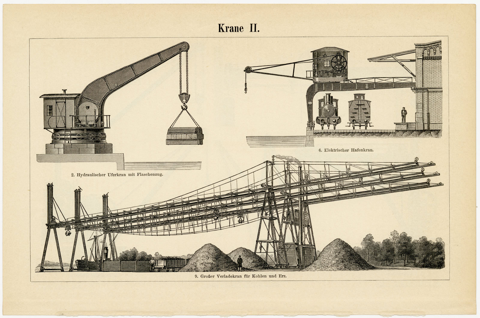 Krane I - II ca 1895 historische Bildtafel Holzstich