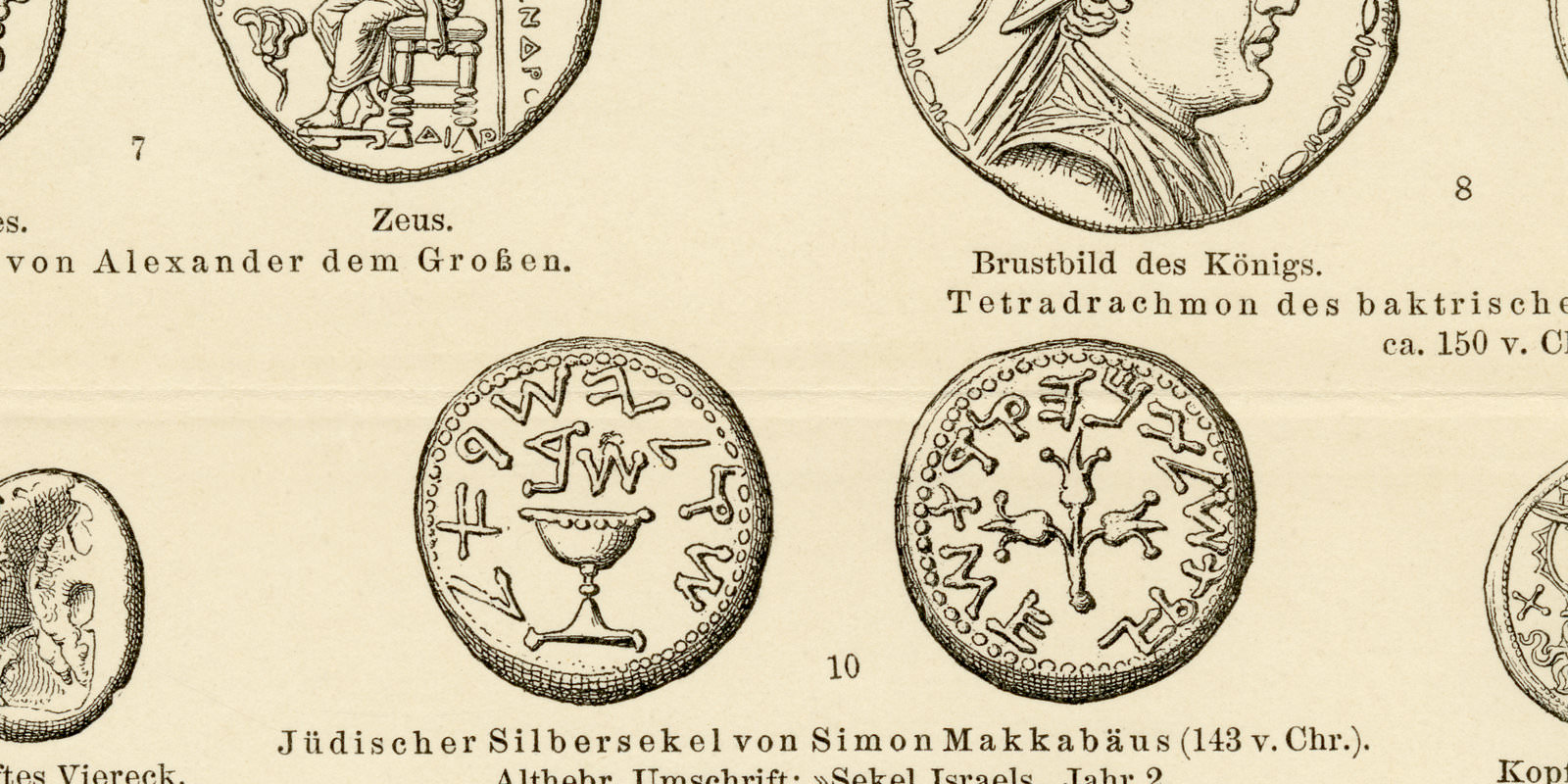 Münzen I Altertum ca 1896 historische Bildtafel Holzstich