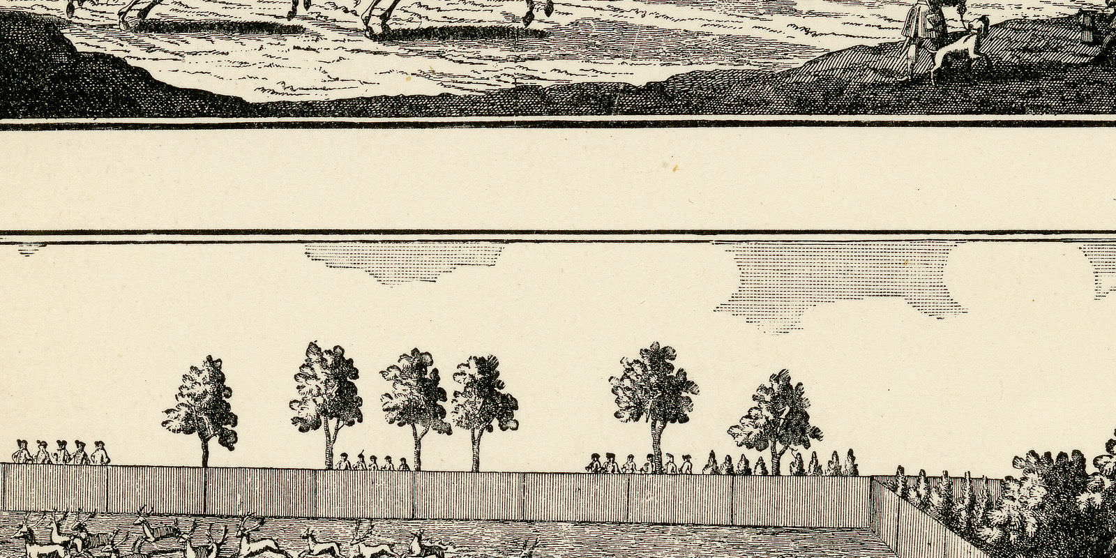 Ein teutsches Hauptjagen ca 1904 historische Bildtafel Holzstich