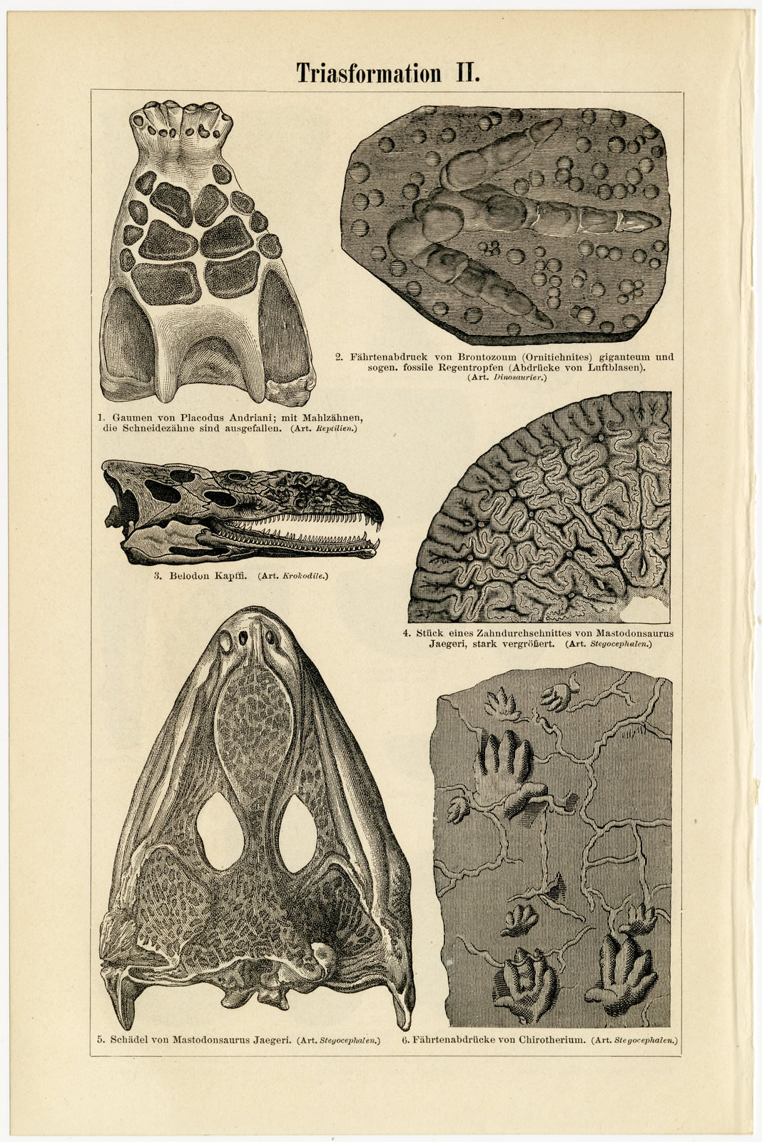 Triasformation I - II ca 1897 historische Bildtafel Holzstich