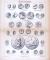 Stich aus 1885 zeigt verschiedene Münzen aus dem Altertum.
