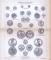 Münzen I. Altertum + Münzen II. 5. bis 17. Jahrhundert ca. 1885 Original der Zeit