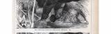 Stich aus 1885 zeigt Doppelnashorn und Indisches Nashorn...