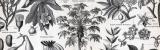 Stich aus 1893 zeigt verschiedene Pflanzen, die zur...