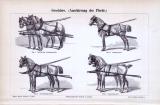 Stich aus 1893 zeigt 4 Pferdegeschirre.