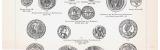 Münzen II. (5. - 17. Jahrh.) + Münzwesen ca. 1893 Original der Zeit