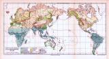 Farbig illustrierte Landkarte der weltweiten Verbreitung...