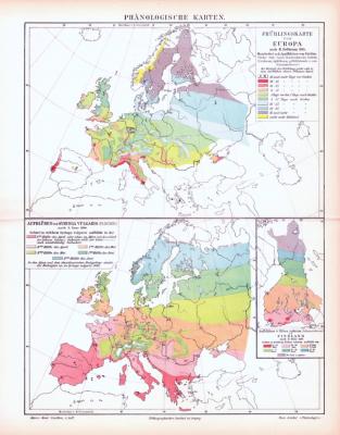 Farbig illustrierte Landkarten von Europa zeigen die Vegetationszeiten verschiedener Pflanzen aus 1893.