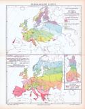 Farbig illustrierte Landkarten von Europa zeigen die Vegetationszeiten verschiedener Pflanzen aus 1893.