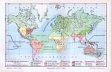 Farbige Lithographie der tiergeographischen Regionen der Welt aus dem Jahr 1893.