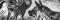 Streifenhyäne Stich ca. 1890 Original der Zeit
