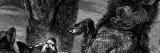 Stich aus dem Jahr 1890 zeigt Eskimohunde in freier...