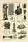 Afrikanische Kultur I. - II. historische Bildtafel Holzstich ca. 1892