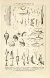 Stich aus 1891 zeigt verschiedene Formen von Angelhaken...