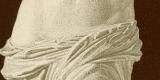 Aphrodite von Melos - Venus von Milo historische Bildtafel Chromolithographie ca. 1892
