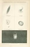 Nebelflecke und Sternhaufen historische Bildtafel Autotypie ca. 1892