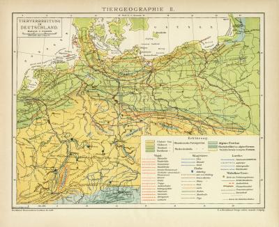 Tiergeographie II. Tierverbreitung in Deutschland historische Landkarte Lithographie ca. 1899