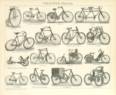 Velociped Fahrrad Holzstich 1896 Original der Zeit