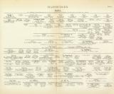 Habsburger Genealogie Tafel I.-II. Buchdruck 1897 Original der Zeit
