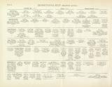 Hohenzollern Genealogie Tafel I.-II. Tafel Buchdruck ca. 1892